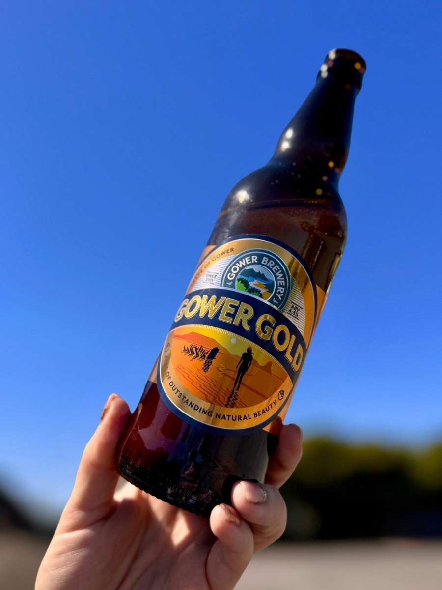 A hand holding a Gower Brewery Gower Gold Welsh ale bottle in the sunshine